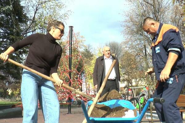 NAJPLEMENITIJE DRVO U SRBIJI: Građanin Gornjeg Milanovca donirao 20 sadnica gradu u okviru akcije ZASADI DRVO