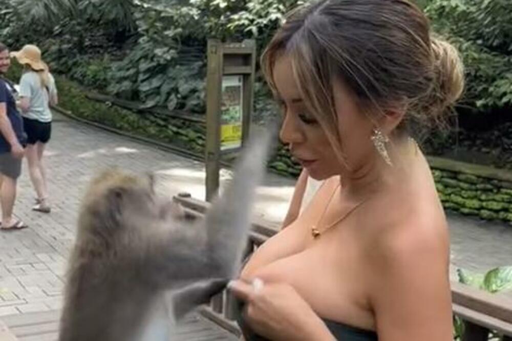 MAJMUN PRIŠAO DEVOJCI, PA PRED SVIMA URADIO OVO: Ljudi ostali FRAPIRANI kada su videli šta radi sa NJENIM GRUDIMA