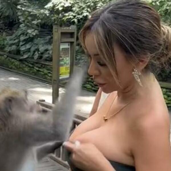 MAJMUN PRIŠAO ŽENI PA PRED SVIMA URADIO OVO: Svi se OKRETALI kada su videli šta radi sa NJENIM GRUDIMA (VIDEO)