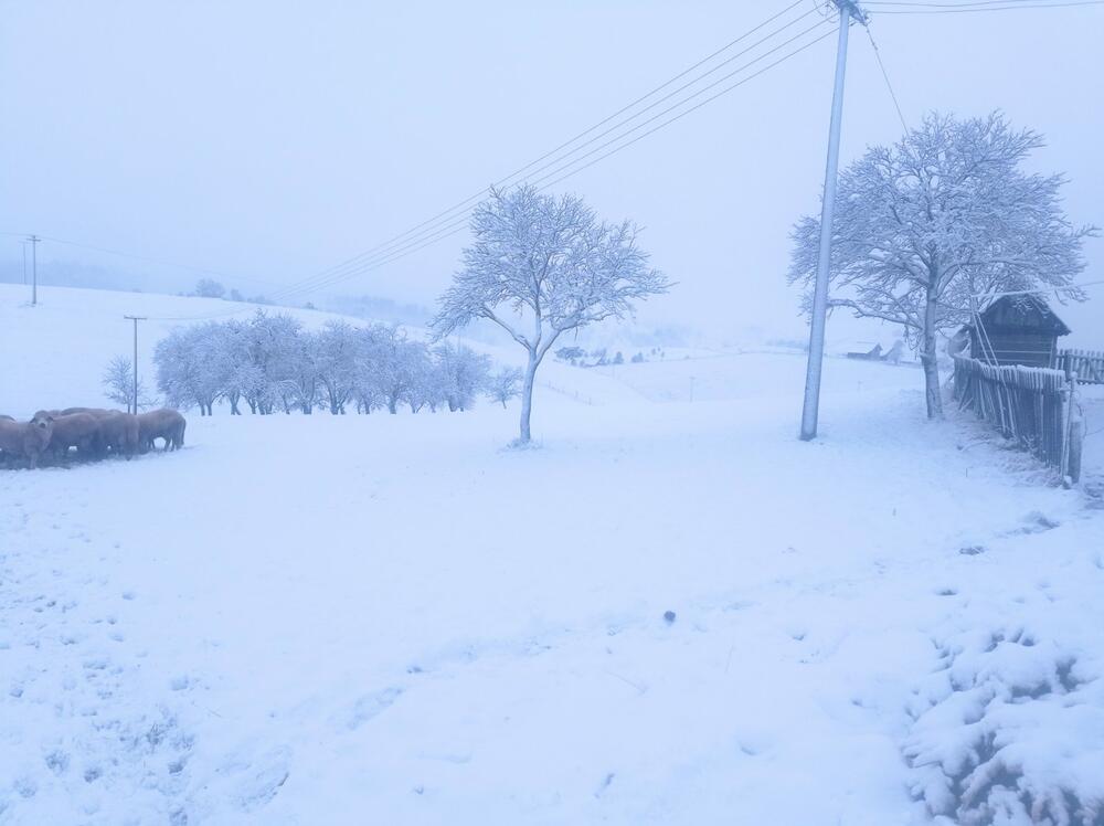 Zapadna Srbija, Sneg