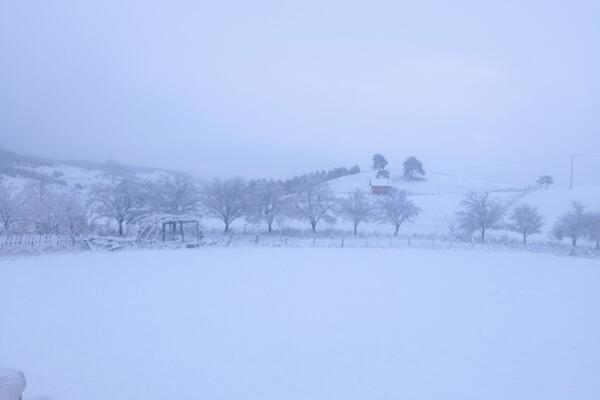Večeras u ove delove Srbije stiže nova tura snega: Spremite se za snežne pahulje, padaće celu noć