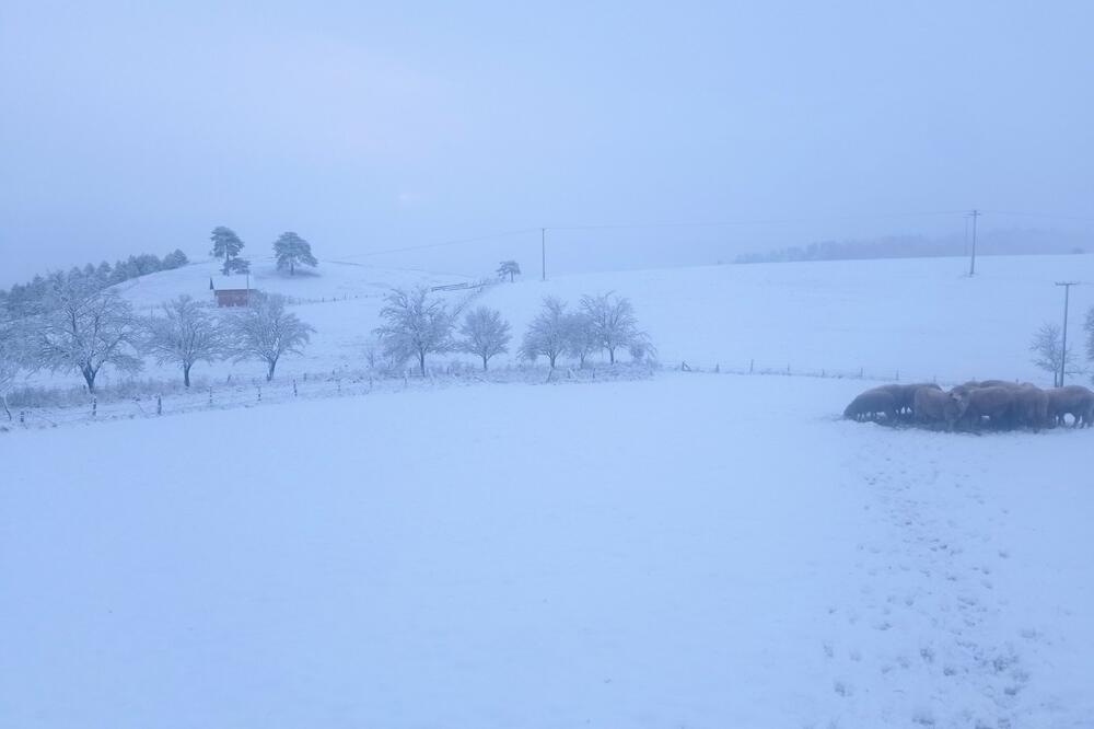 SNEŽNO NEVREME NASTAVLJA DA MORI SRBIJU: Potraga za NESTALIM muškarcem iz okoline Kraljeva se nastavlja