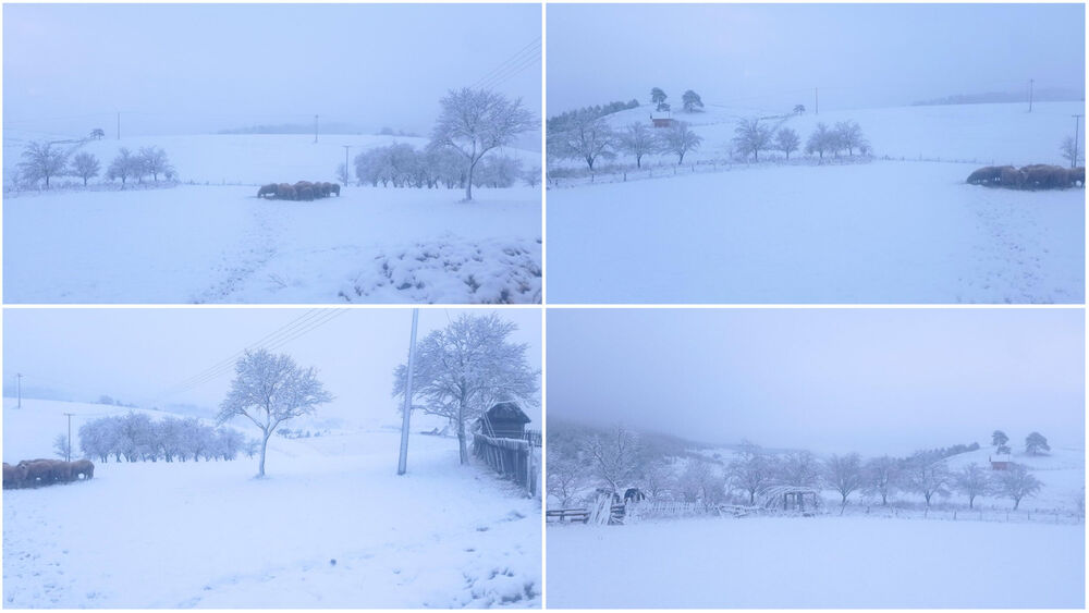 Zapadna Srbija, Sneg, Zima
