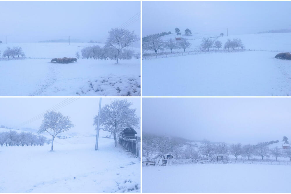 SRBIJA SE BELI! Putari prtili celu noć, snežni prekrivač došao do 15 centimetara! (FOTO)