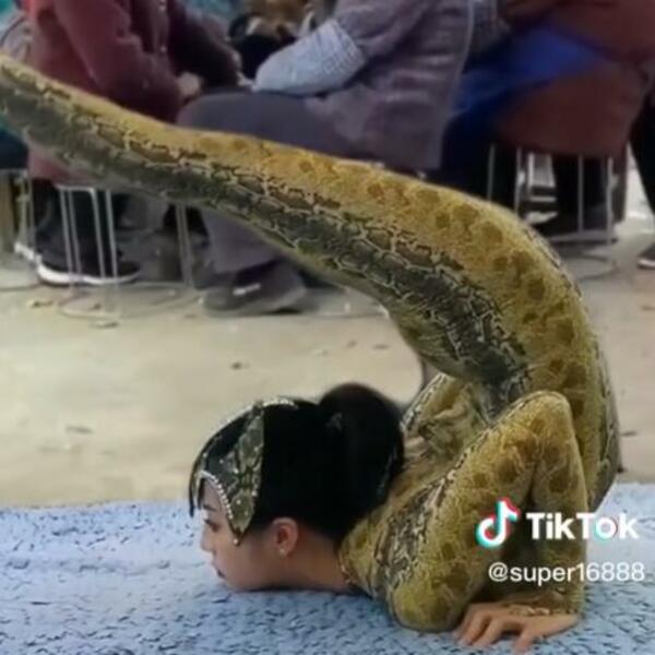 SNIMLJENA PRAVA ŽENA ZMIJA, SVI U ŠOKU: Gledaćete u neverici kako se UVIJA i šta radi (VIDEO)