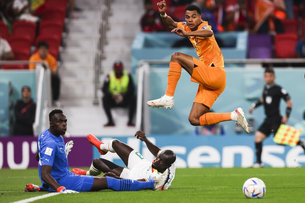 Detalj sa utakmice Senegala i Holandije