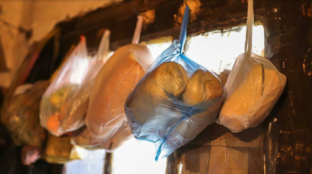 Vilomir Dragić, Porodica Dragić, Boljevac