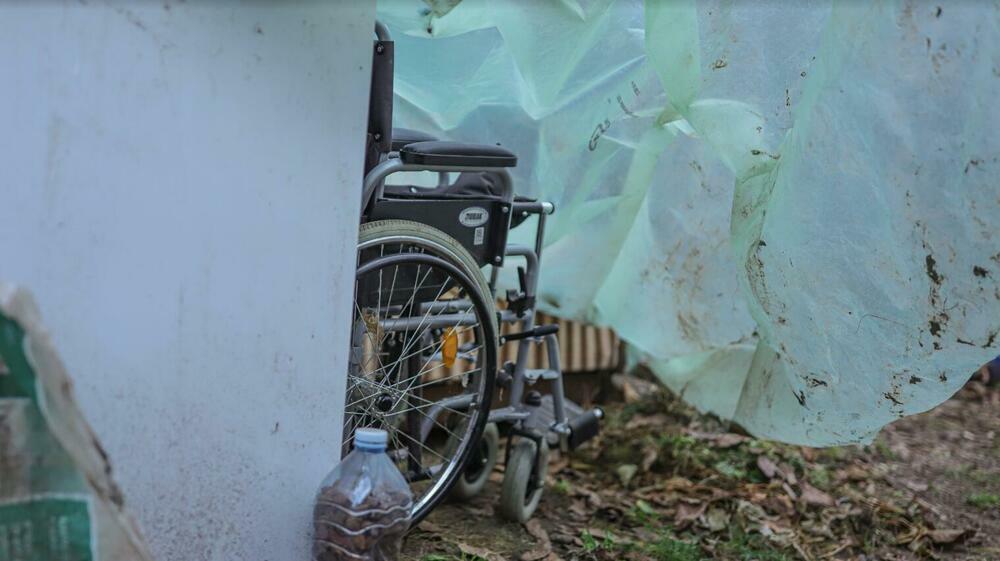 Vilomir Dragić, Porodica Dragić, Boljevac