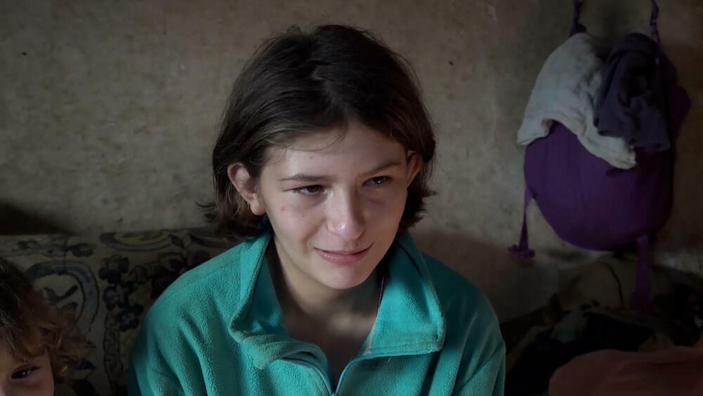 Porodica Bosiljkanović