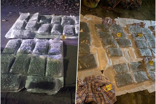 NEVEROVATNA AKCIJA POLICIJE U NIŠU: 8 pripadnika kriminalne grupe palo sa 80 kilograma droge! (VIDEO)