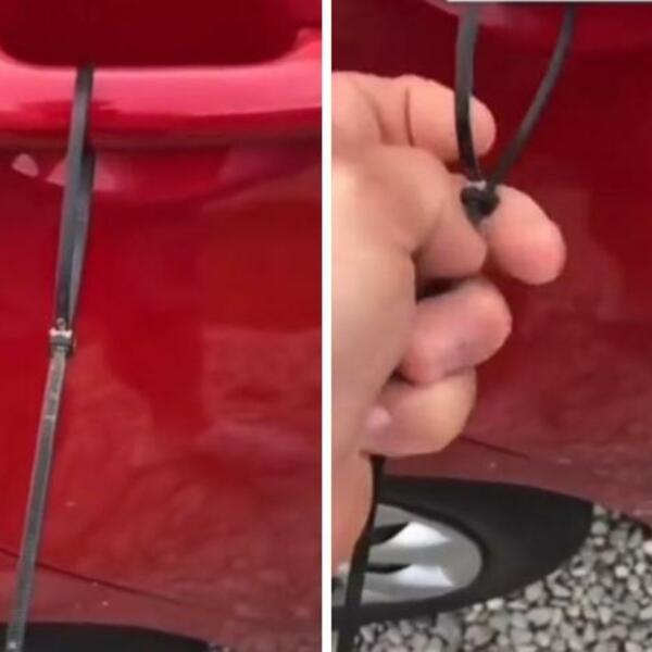 NALAZIO VEZICE NA KOLIMA 3 JUTRA ZAREDOM: Ono što je saznao ZALEDIĆE VAM KRV U ŽILAMA (VIDEO)