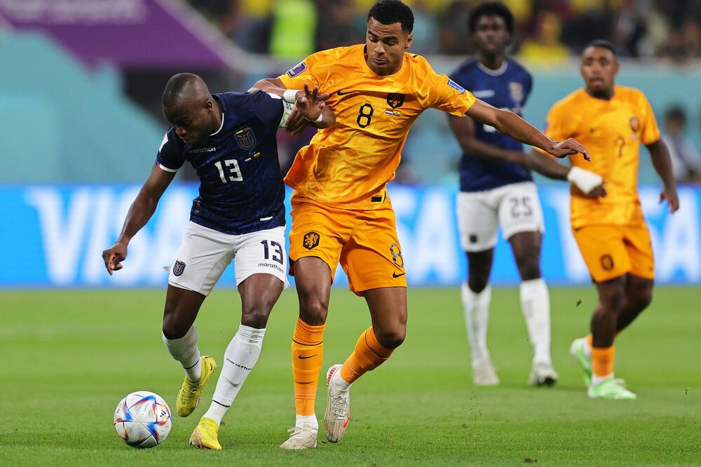 GAKPO DAO NAJBRŽI GOL, KAPITEN VALENSIJA IZJEDNAČIO! Prečka spasila Holandiju protiv Ekvadora (VIDEO/FOTO)