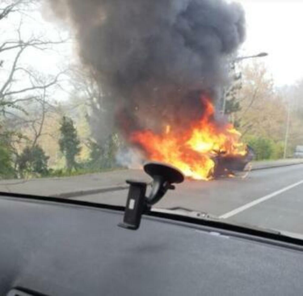 Požar na Košutnjaku