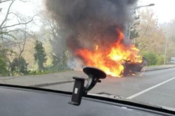 STRAVIČAN POŽAR NA KOŠUTNJAKU: Vatra progutala ceo auto (FOTO)