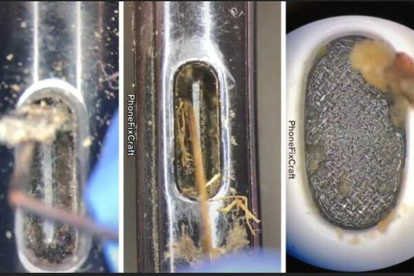 ŽIVOT ĆE VAM SE ZGADITI KADA VIDITE ŠTA SE SVE KRIJE U TELEFONIMA I SLUŠALICAMA: Odvratno je! (VIDEO)