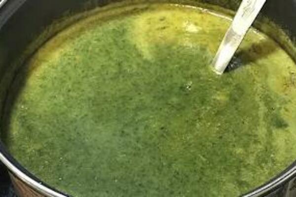 SUPA OD KOPRIVE JE ZALUDELA "NEBESKI NAROD", BOLJU OD NJE NEĆETE NAĆI: Zanemećete kada čujete za šta je LEKOVITA