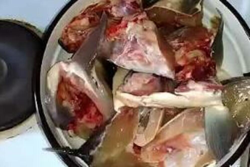 RETKO KOJI SRBIN JE ZNAO DA POSTOJI I RIBLJE PEČENJE: Davićete se u njemu do Božića, SKORO KAO I PRAVO