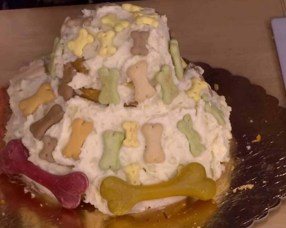 Torta za pse