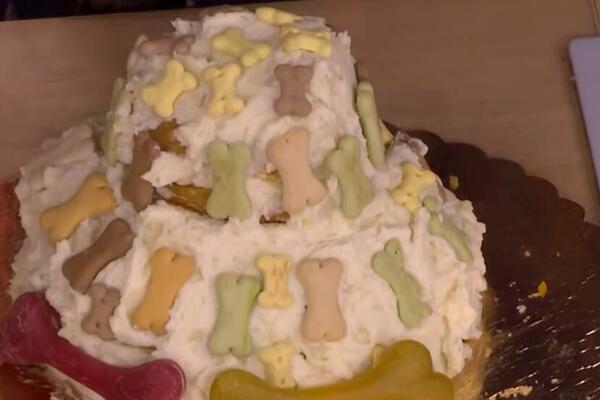 OVA TORTA JE NAMENJENA ISKLJUČIVO PSIMA: Zbog 1 sastojka u NJOJ, vaš ljubimac će ODLEPITI (FOTO)