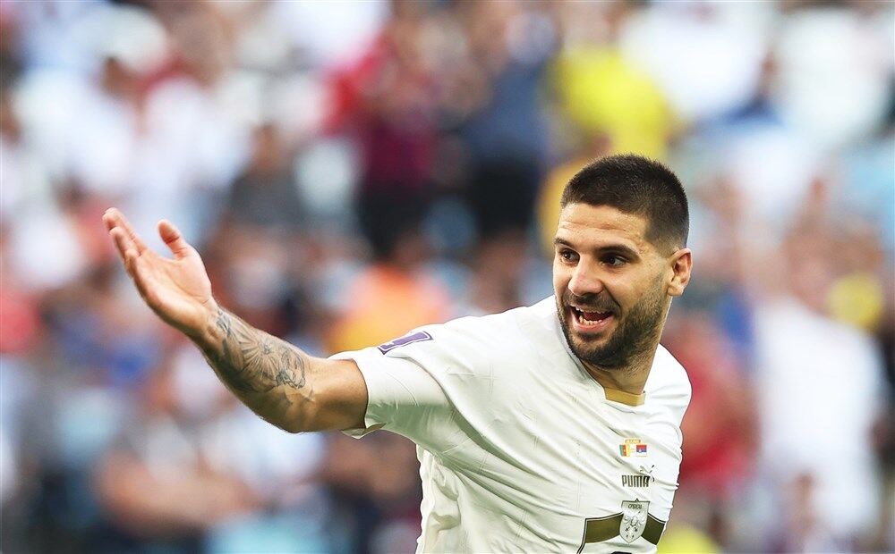 Aleksandar Mitrović slavi gol protiv Kameruna