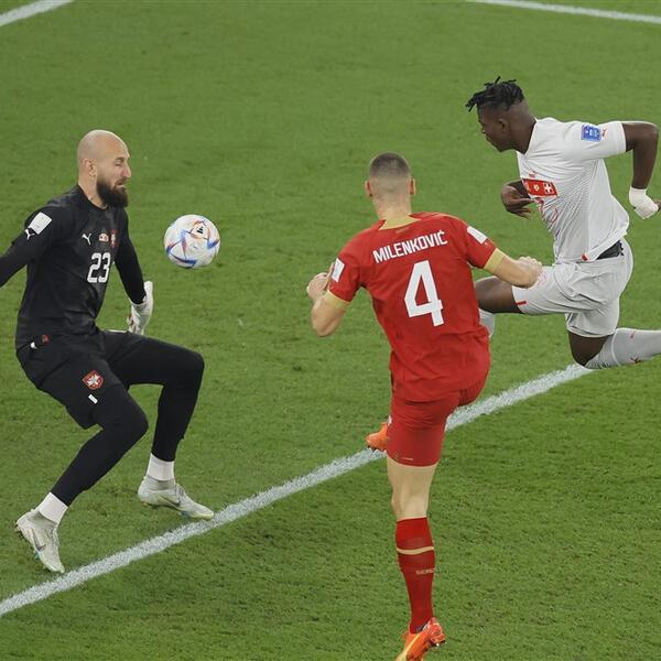 SRBIJA PONOVO BEZ OSMINE FINALA: Švajcarci nas ponovo nadmudrili, Kamerunci šokirali Brazilce! (FOTO)