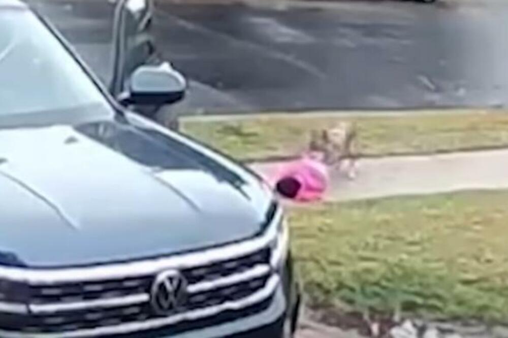 BESNA ŽIVOTINJA NAPALA DVOGODIŠNJE DETE, PROLOMIO SE VRISAK: Snimak gledajte na svoju ODGOVORNOST (VIDEO)