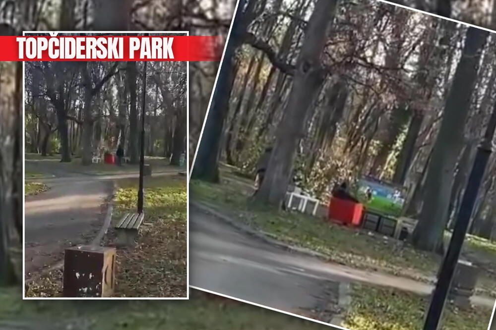 KAKVA LEGENDA! IZNEO CELU DNEVNU SOBU U TOPČIDERSKI PARK: Ovako se voli fudbal, MOŽDA GA JE I ŽENA IZBACILA? VIDEO