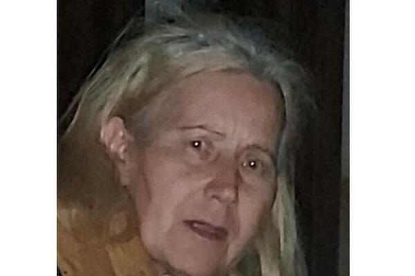 IZAŠLA IZ KOLA DOK JE SIN BIO U MARKETU: Snežani se svaki trag gubi u Železniku