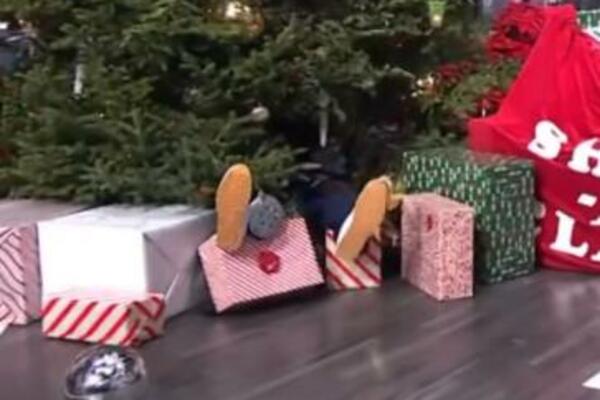 ŠEKIL O’NIL PATOSIRAN! Kao vreća od 150 kg - upao u jelku, jedva ga IŠČUPALI! (VIDEO)