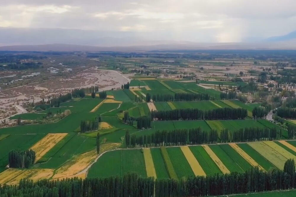 Nakon 40 godina, pustinja je postala plodna zemlja! VIDEO