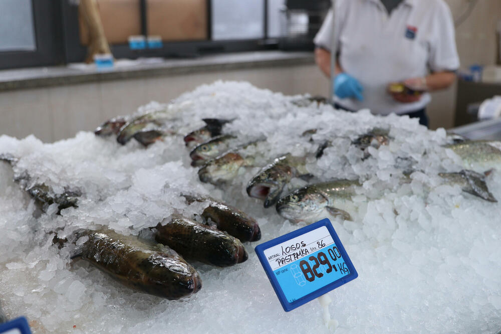 SRBI OBOŽAVAJU DA JEDU OVU RIBU, A ONA JE USTVARI OTROVNA: Lekari se odmah oglasili, pazite