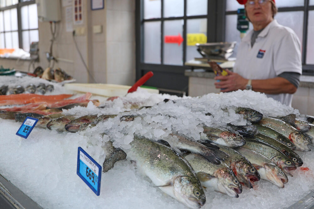 Zamrznuta riba priprema