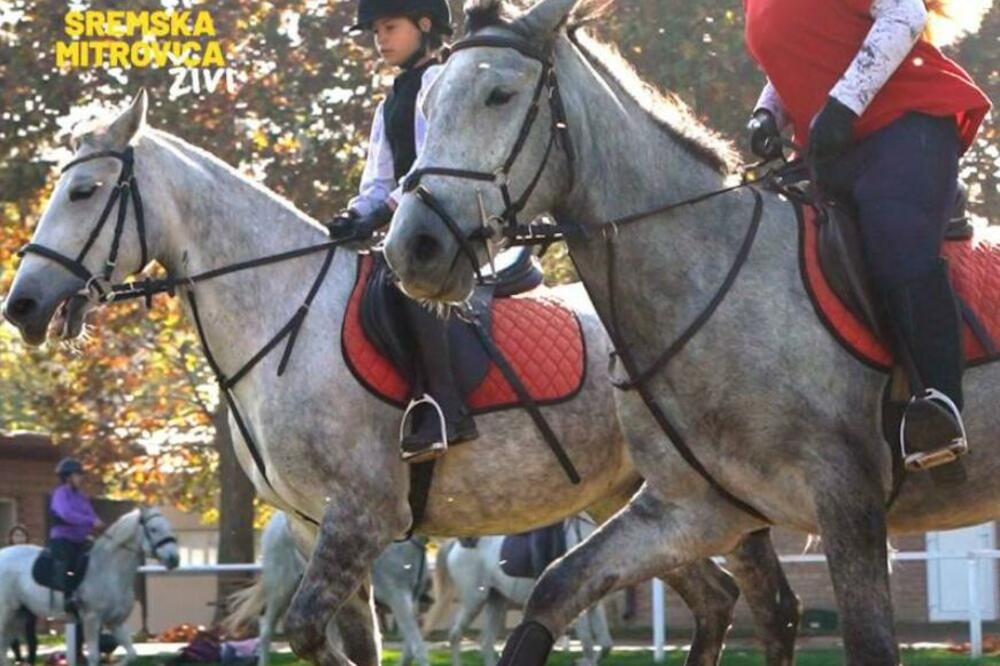 MITROVAČKA ŠKOLA JAHANJA JE IDEALNA PRILIKA DA SE VAŠI NAJMLAĐI SPROJATELJE SA KONJIMA: Imaju i zimsko jahalište!