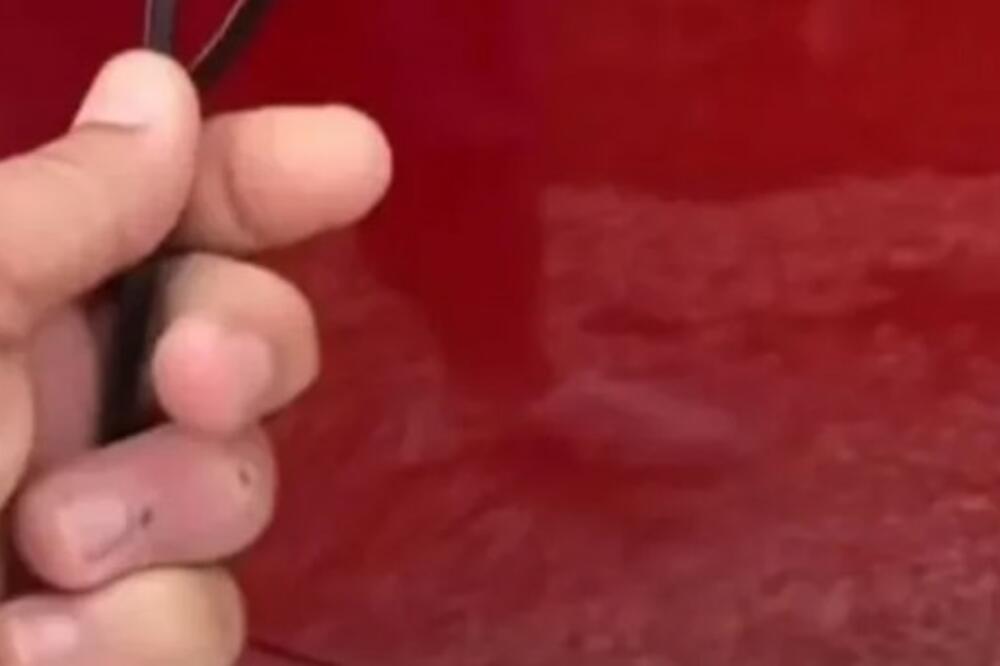 KADA JE VIDEO PRIZOR, SLEDIO SE U MESTU: Otac otkrio OVO na KOLIMA svoje ćerke, ZNATE LI ŠTA JE?!