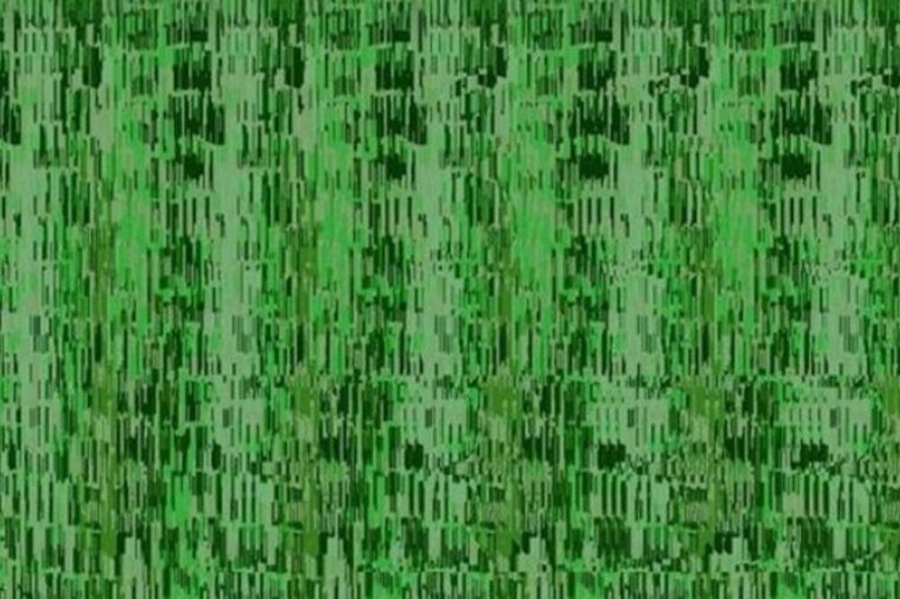 SAMO 45 ODSTO LJUDI MOŽE DA VIDI SKRIVENE REČI U OVOJ ILUZIJI: Proverite da li ste među njima (FOTO)