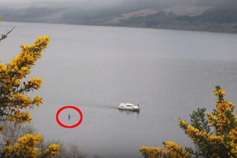 KAMERA UHVATILA ČUDOVIŠTE U VODI? Otišao na odmor, pa se SABLASNUO, ovo nije mogao ni da ZAMISLI (VIDEO)