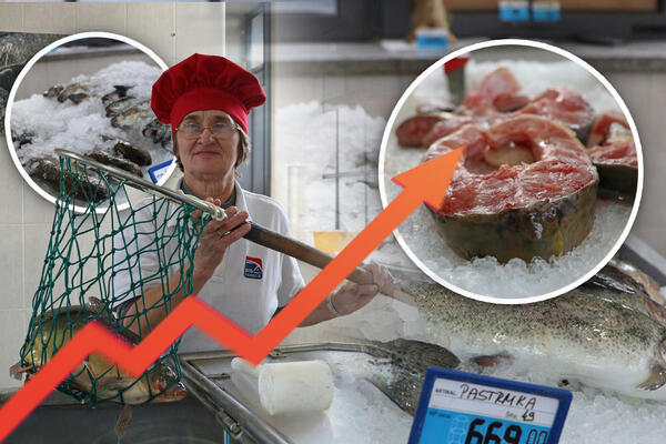 Cene otišle u nebesa - šaran 600, pastrmka 700 dinara: Ovo je detaljan cenovnik ribe pred početak Božićnog posta