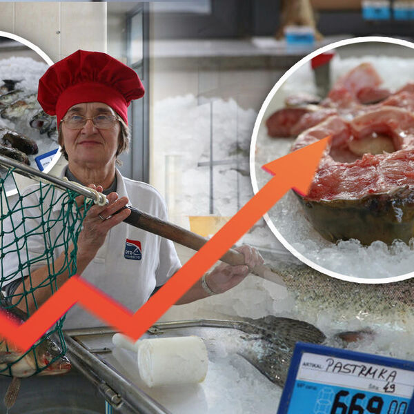 Cene otišle u nebesa - šaran 600, pastrmka 700 dinara: Ovo je detaljan cenovnik ribe pred početak Božićnog posta