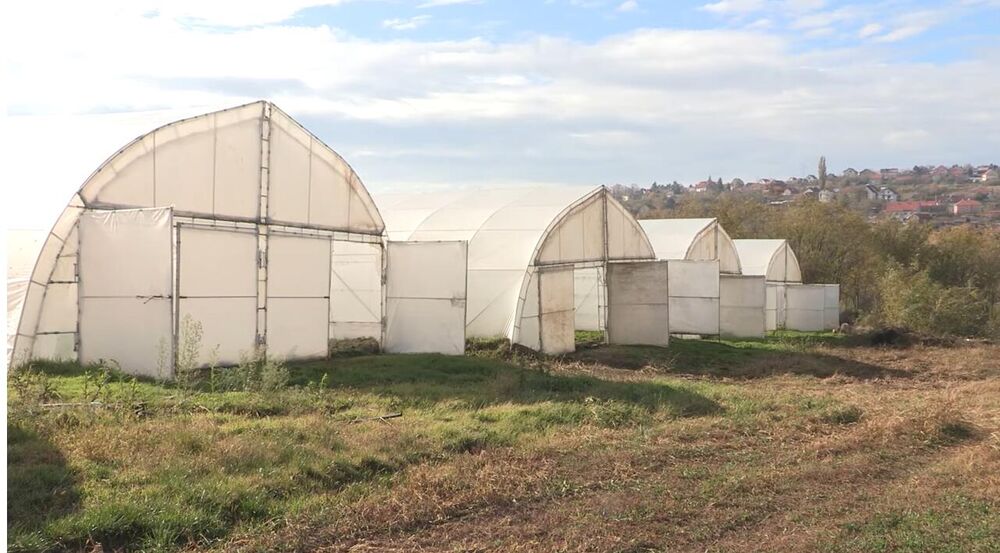 Plastenik / ilustracija