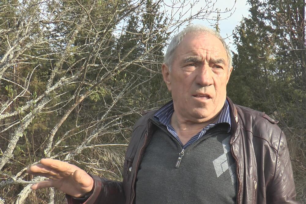 NIJE DOBRO AKO KRAVE PASU NA MESTU GDE JE BILA SVETINJA: Rogovićima umirali sinovi, a onda su URADILI 1 STVAR!