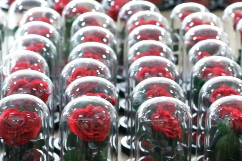 Novi proizvodi cvećara u Junnanu: Širi se potražnja stranog tržišta (VIDEO)