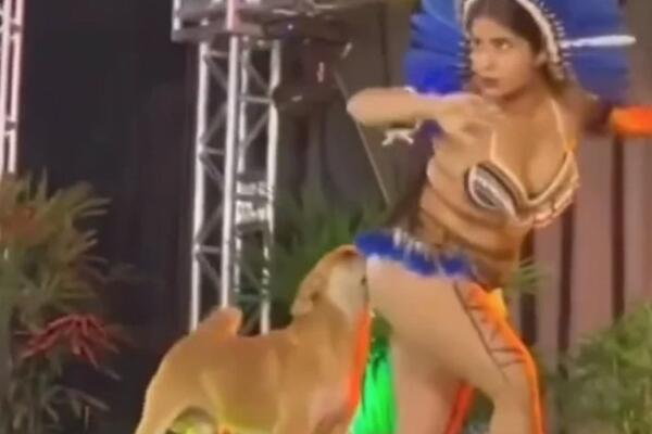 PAS PRIŠAO PLESAČICI NA NASTUPU, PA PRED SVIMA URADIO 1 STVAR: Ljudi sve SNIMILI (VIDEO)