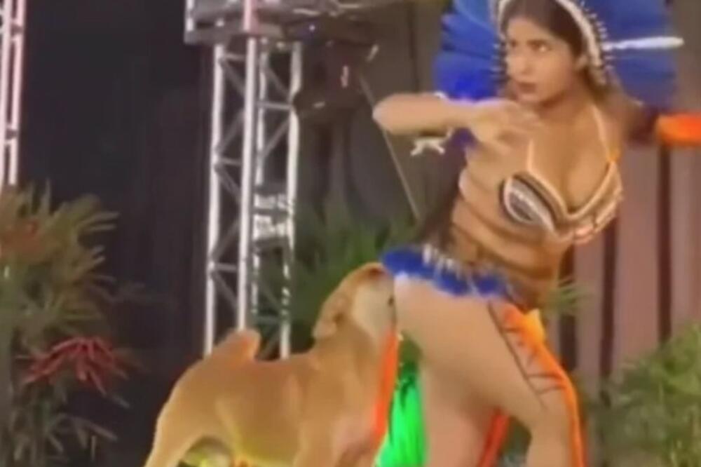 PAS PRIŠAO PLESAČICI NA NASTUPU, PA PRED SVIMA URADIO 1 STVAR: Ljudi sve SNIMILI (VIDEO)