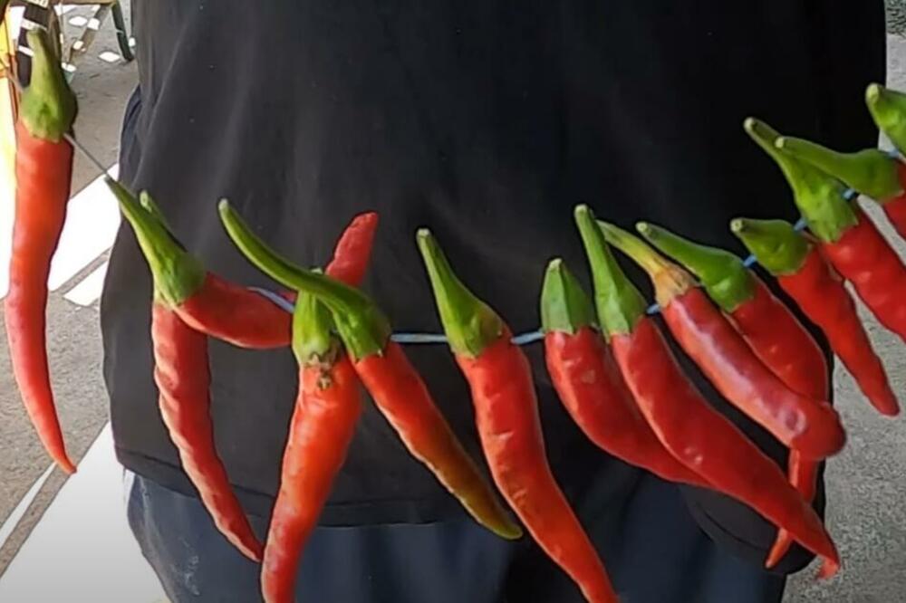 NAŠI PRECI SU SAMO NA OVAJ NAČIN SUŠILI PAPRIKE: Jedino TAKO su im ispadale kako VALJA