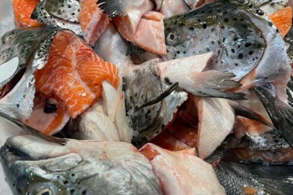 KOBNA TUČA OKO ZAMRZNUTE RIBE U SUPERMARKETU: Radnica IZBODENA i PRETUČENA, nije joj bilo SPASA!