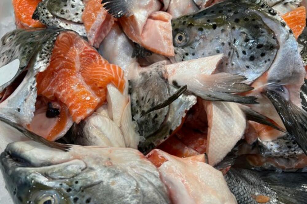 JELO "RIBA RIBI GRIZE REP" NIKO NE PRAVI ZA SLAVU, A TREBALO BI: Na PRSTE se mogu nabrojati oni KOJI ZNAJU RECEPT