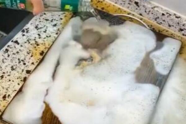 POMEŠALA JE SODU BIKARBONU I SIRĆE, DESILA SE PRAVA MAGIJA: Biće vam žao što ranije niste znali za OVAJ TRIK