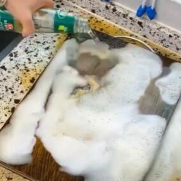 POMEŠALA JE SODU BIKARBONU I SIRĆE, DESILA SE PRAVA MAGIJA: Biće vam žao što ranije niste znali za OVAJ TRIK