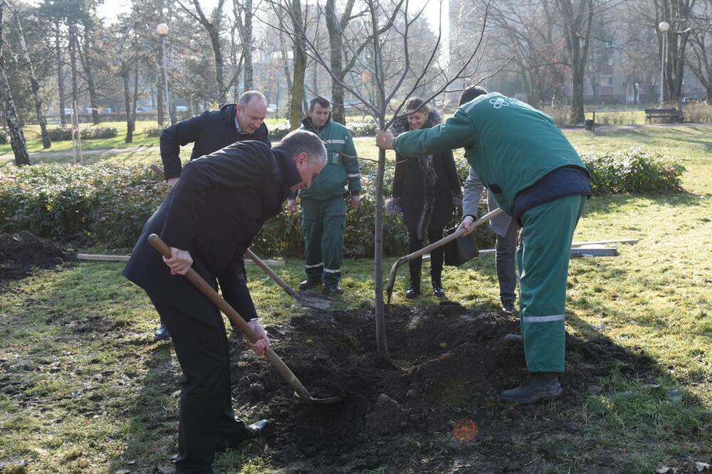 GRADONAČELNIK MILAN ĐURIĆ PRISUSTVOVAO AKCIJI "ZA ŠUMU U TVOM KRAJU": Park u Novom Sadu biće bogatiji za 50 sadnica
