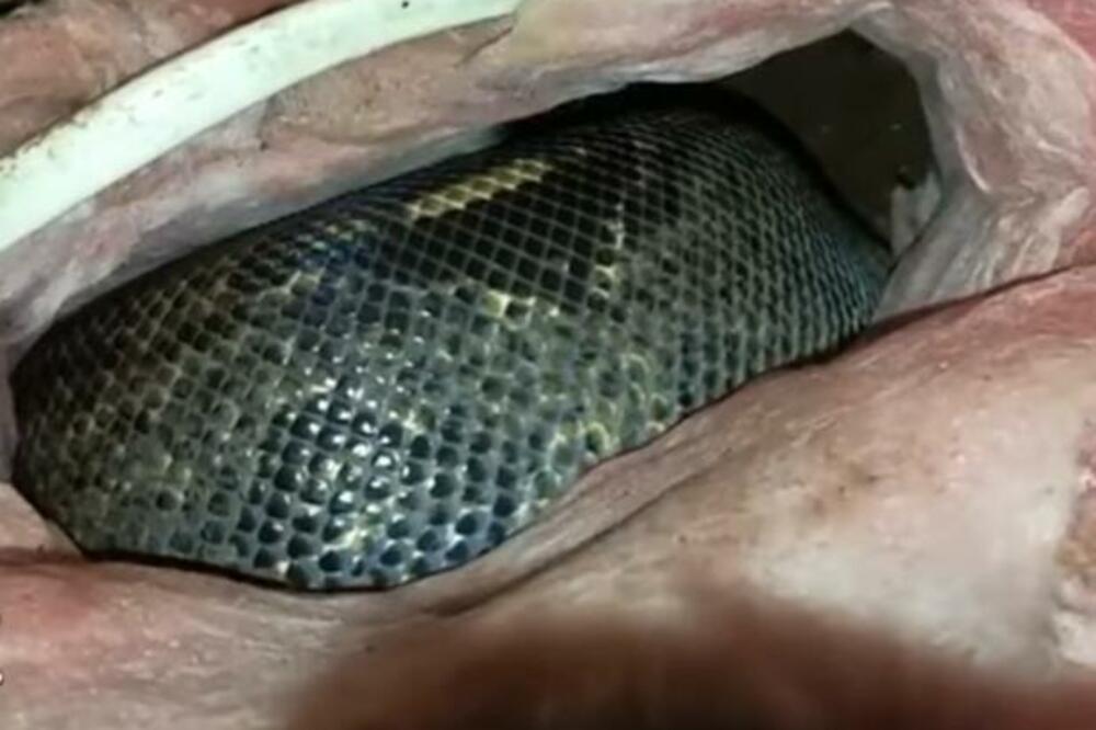 GODINAMA SU ČULI ZVUKOVE SA TAVANA KUĆE: Kada su otišli da vide šta se DEŠAVA, odmah su POZVALI POMOĆ (VIDEO)